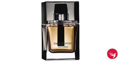 dior homme intense tekin acar|Dior intense cologne 2007.